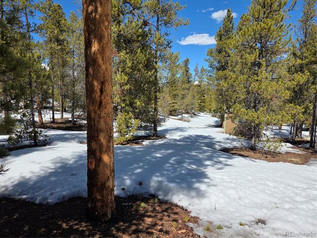 Lots 20 & 29, Twin Lakes, CO 81251