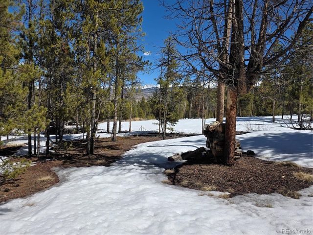 Lots 20 & 29, Twin Lakes, CO 81251