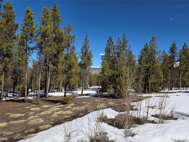 Lots 20 & 29, Twin Lakes, CO 81251