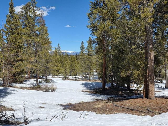 Lots 20 & 29, Twin Lakes, CO 81251