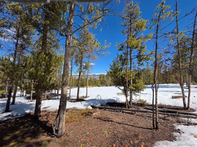 Lots 20 & 29, Twin Lakes, CO 81251