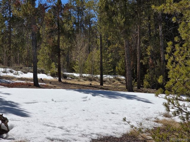 Lots 20 & 29, Twin Lakes, CO 81251