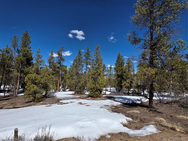 Lots 20 & 29, Twin Lakes, CO 81251