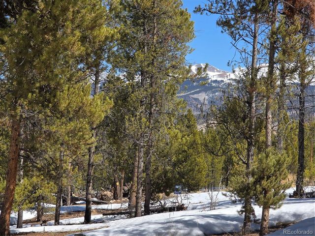 Lots 20 & 29, Twin Lakes, CO 81251