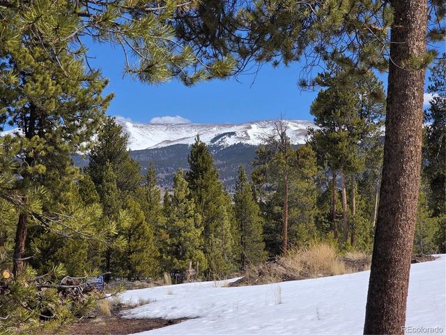 Lots 20 & 29, Twin Lakes, CO 81251