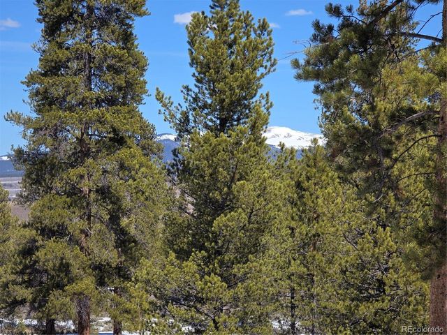 Lots 20 & 29, Twin Lakes, CO 81251