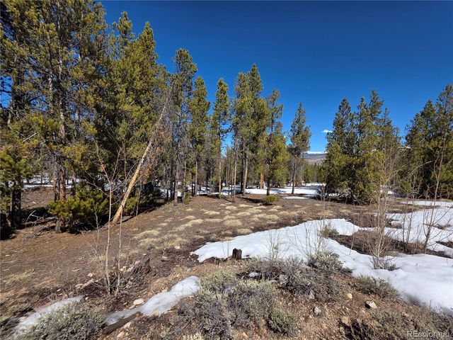 Lots 20 & 29, Twin Lakes, CO 81251