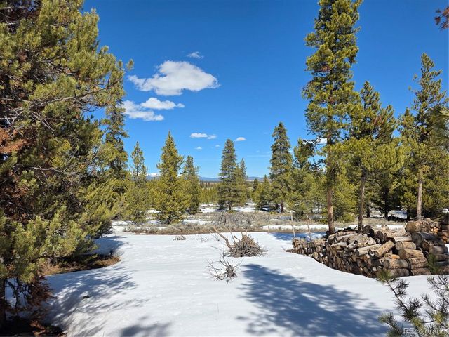 Lots 20 & 29, Twin Lakes, CO 81251