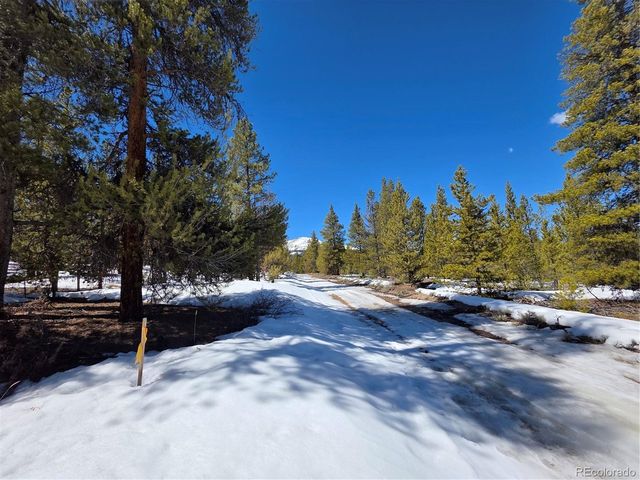Lots 20 & 29, Twin Lakes, CO 81251