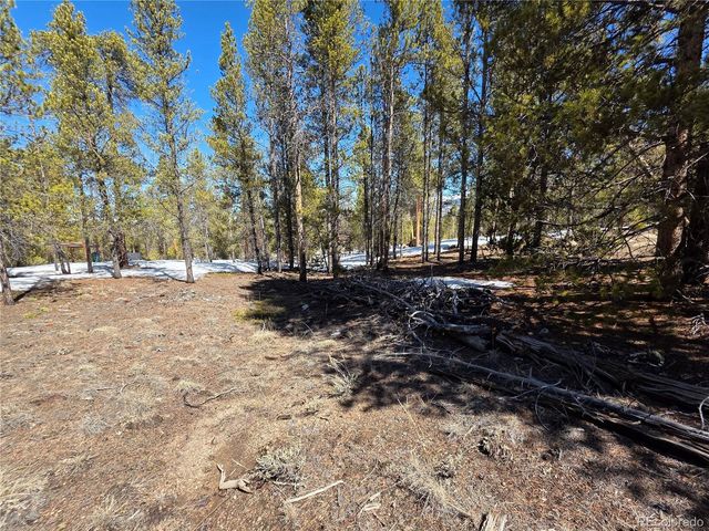 Lots 20 & 29, Twin Lakes, CO 81251