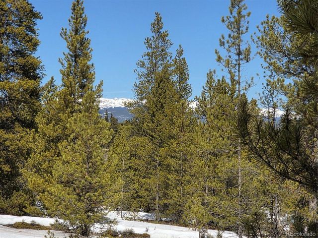 Lots 20 & 29, Twin Lakes, CO 81251