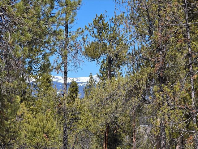 Lots 20 & 29, Twin Lakes, CO 81251