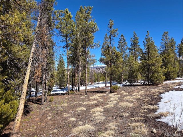 Lots 20 & 29, Twin Lakes, CO 81251