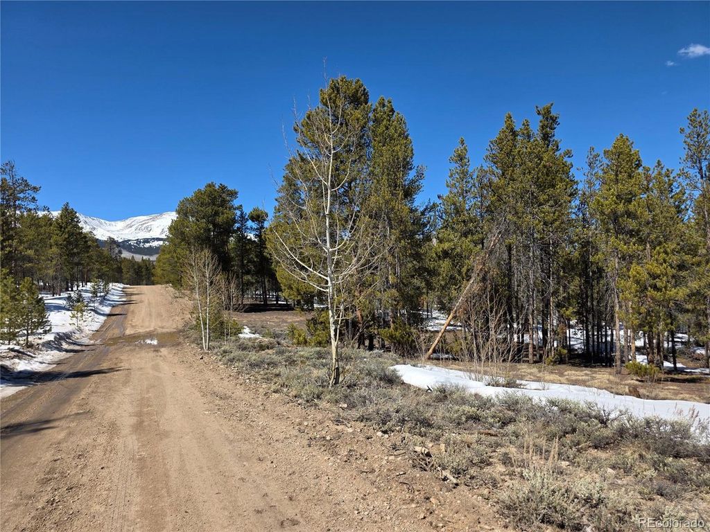 Lots 20 & 29, Twin Lakes, CO 81251