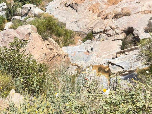 222444 Hwy 94, Dulzura, CA 91917