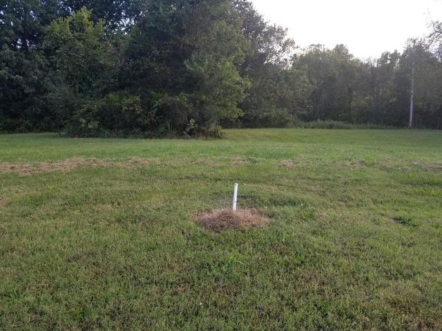 Lot 10 Fox Haven Drive, Mt Vernon, MO 65712