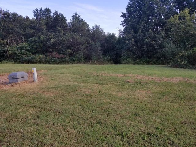 Lot 10 Fox Haven Drive, Mt Vernon, MO 65712