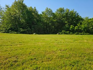Lot 10 Fox Haven Drive, Mt Vernon, MO 65712
