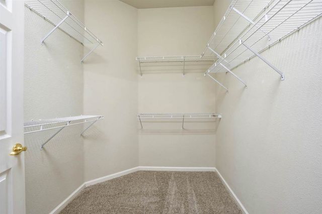 1036 Bismarck Ter, Brentwood, CA 94513