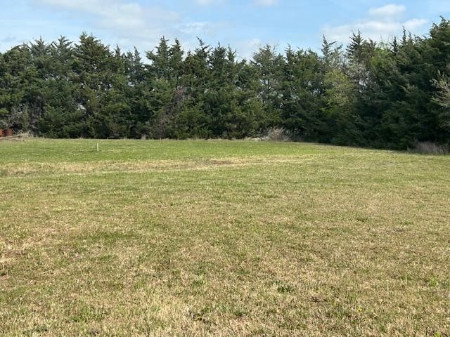 2028 County Road 4720, Leonard, TX 75452