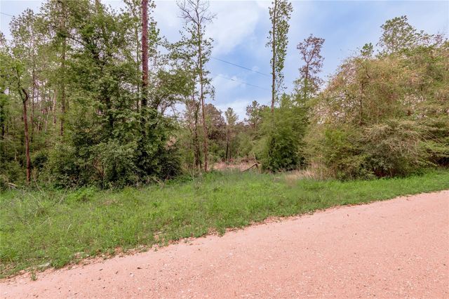 0000 Big Foot Wallace Trail, Livingston, TX 77351