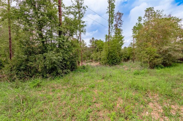 0000 Big Foot Wallace Trail, Livingston, TX 77351