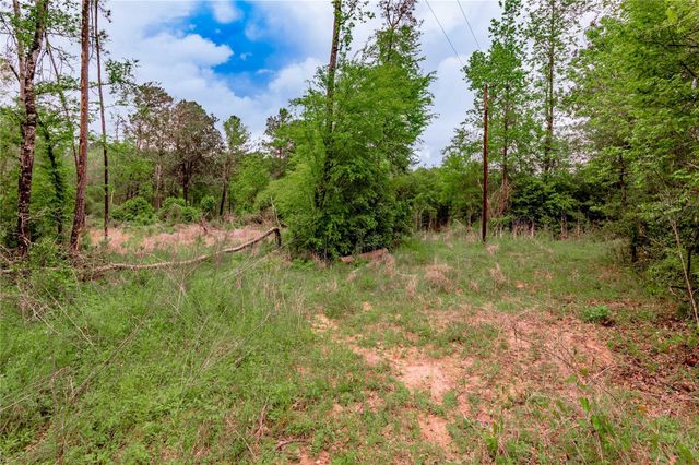 0000 Big Foot Wallace Trail, Livingston, TX 77351