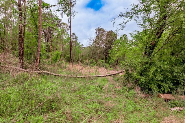 0000 Big Foot Wallace Trail, Livingston, TX 77351