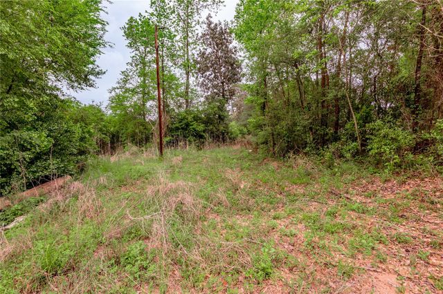 0000 Big Foot Wallace Trail, Livingston, TX 77351