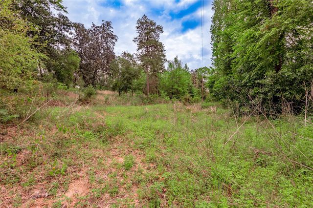 0000 Big Foot Wallace Trail, Livingston, TX 77351