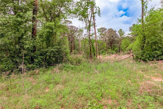 0000 Big Foot Wallace Trail, Livingston, TX 77351