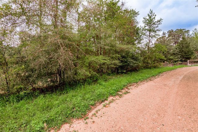 0000 Big Foot Wallace Trail, Livingston, TX 77351