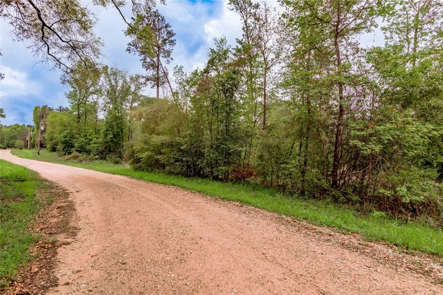 0000 Big Foot Wallace Trail, Livingston, TX 77351