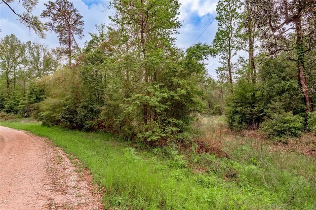 0000 Big Foot Wallace Trail, Livingston, TX 77351