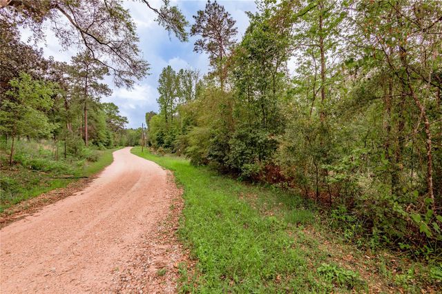 0000 Big Foot Wallace Trail, Livingston, TX 77351