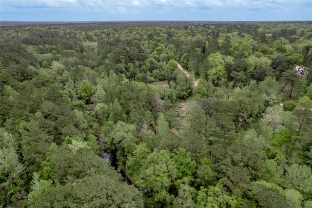 0000 Big Foot Wallace Trail, Livingston, TX 77351