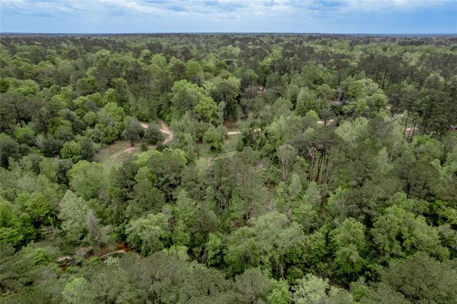 0000 Big Foot Wallace Trail, Livingston, TX 77351
