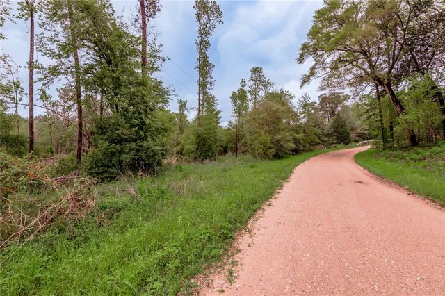 0000 Big Foot Wallace Trail, Livingston, TX 77351