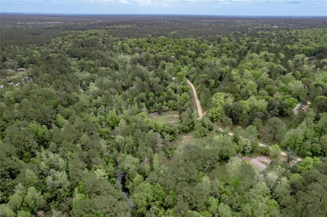 0000 Big Foot Wallace Trail, Livingston, TX 77351