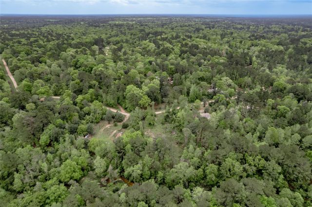 0000 Big Foot Wallace Trail, Livingston, TX 77351