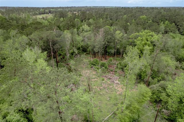 0000 Big Foot Wallace Trail, Livingston, TX 77351
