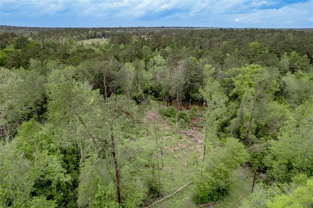 0000 Big Foot Wallace Trail, Livingston, TX 77351