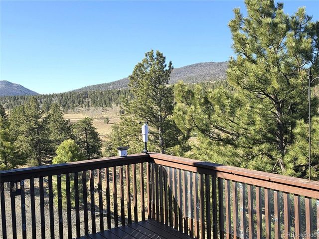 3580 Singletree Rd, Hartsel, CO 80449