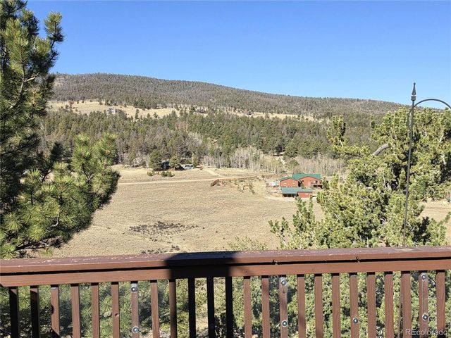 3580 Singletree Rd, Hartsel, CO 80449