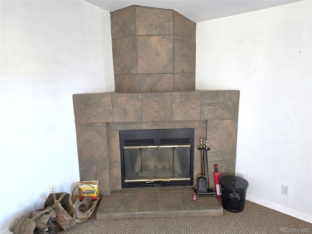 3580 Singletree Rd, Hartsel, CO 80449