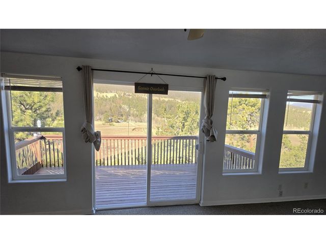 3580 Singletree Rd, Hartsel, CO 80449