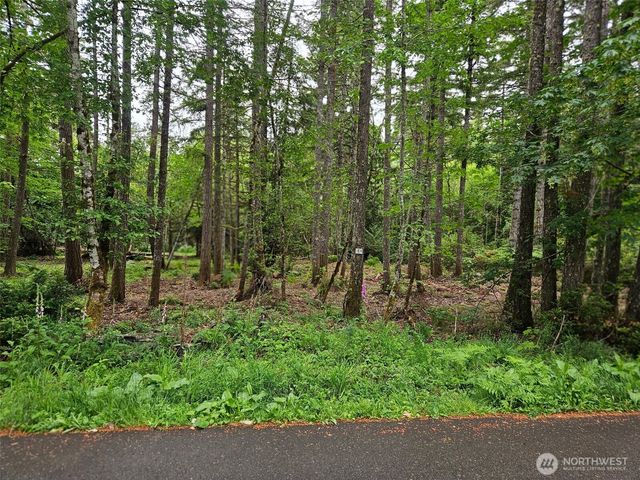 870 E Wilson Way, Grapeview, WA 98546