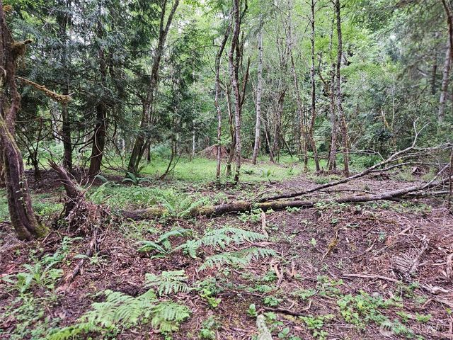 870 E Wilson Way, Grapeview, WA 98546