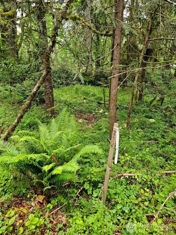 870 E Wilson Way, Grapeview, WA 98546