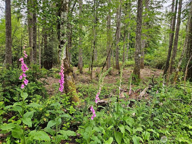 870 E Wilson Way, Grapeview, WA 98546
